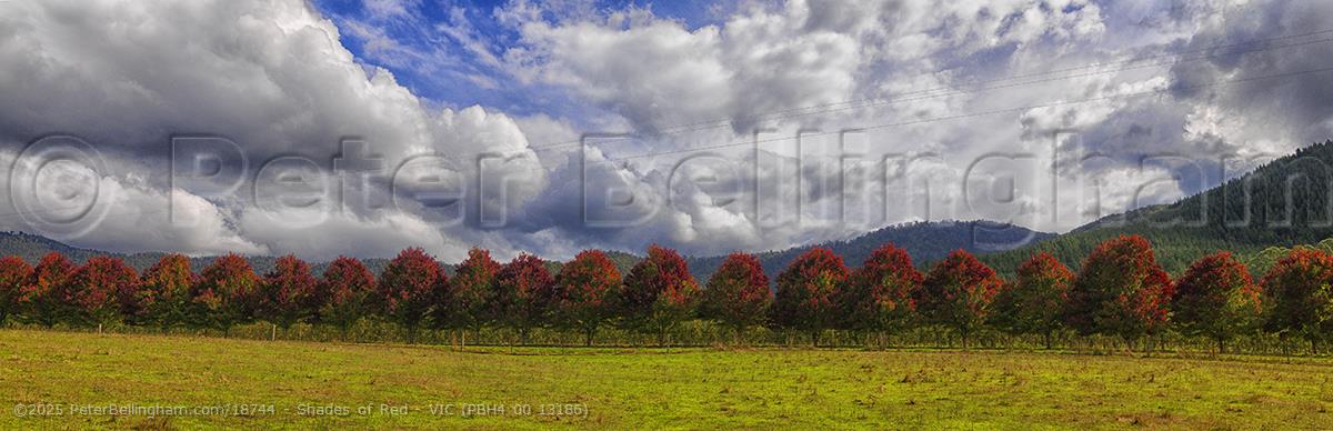Peter Bellingham Photography Shades of Red - VIC (PBH4 00 13186)